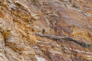 Trekking from Darshai to the Yurt camp