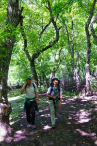 Trekking through the walnut forest in Arslanbob