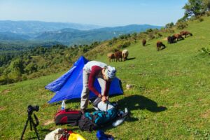 Horses came by out camp site